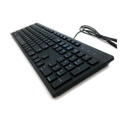 คีย์บอร์ด DELL MULTIMEDIA KEYBOARD KB216-BLACK (BROWN BOX) (EN-TH)