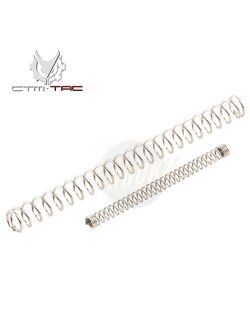 CTM AAP-01 Recoil & Nozzle Spring