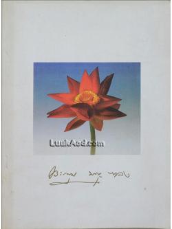 อนุสรณ์ในงานฌาปนกิจศพ นางประทุม บุญ-หลง