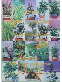 ตำราสมุนไพร โบราณบ้านทุ่ง