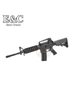 E&C 308 S2 M4 RIS AEG