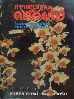 การเพาะปลูกกล้วยไม้ ในสภาพแวดล้อมของประเทศไทย