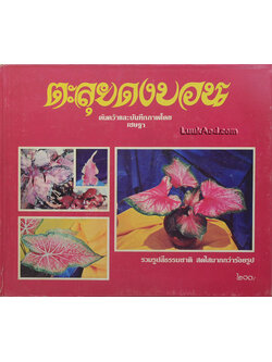 *ตะลุยดงบอน*