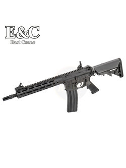 E&C 313-2 S2 SR16 E3 MOD2 M-LOK 10.5" AEG