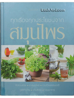 ทุกเรื่องทุกประโยชน์จาก สมุนไพร