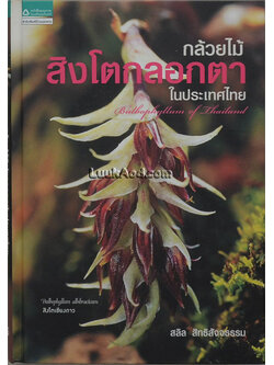 กล้วยไม้สิงโตกลอกตาในประเทศไทย