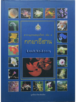 สารานุกรมสมุนไพร เล่ม 4 กกยาอีสาน