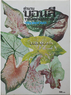 ตำนานบอนสี ราชินีแห่งไม้ประดับ