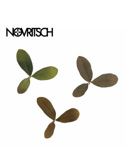 NOVRITSCH Leaf Camo – LC2