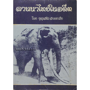 ลานนาไทยในอดีต