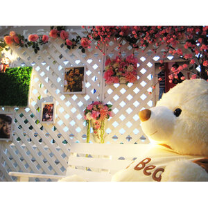 เช่าอุปกรณ์ตกแต่งสถานที่