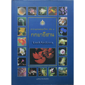 สารานุกรมสมุนไพร เล่ม 4 กกยาอีสาน