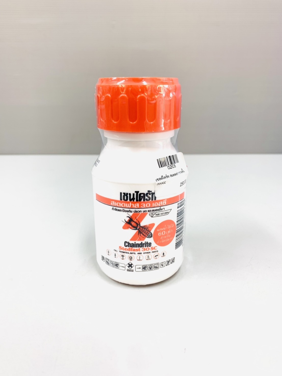 เชลล์ไดร์ท สเตดฟาสราดพื้น