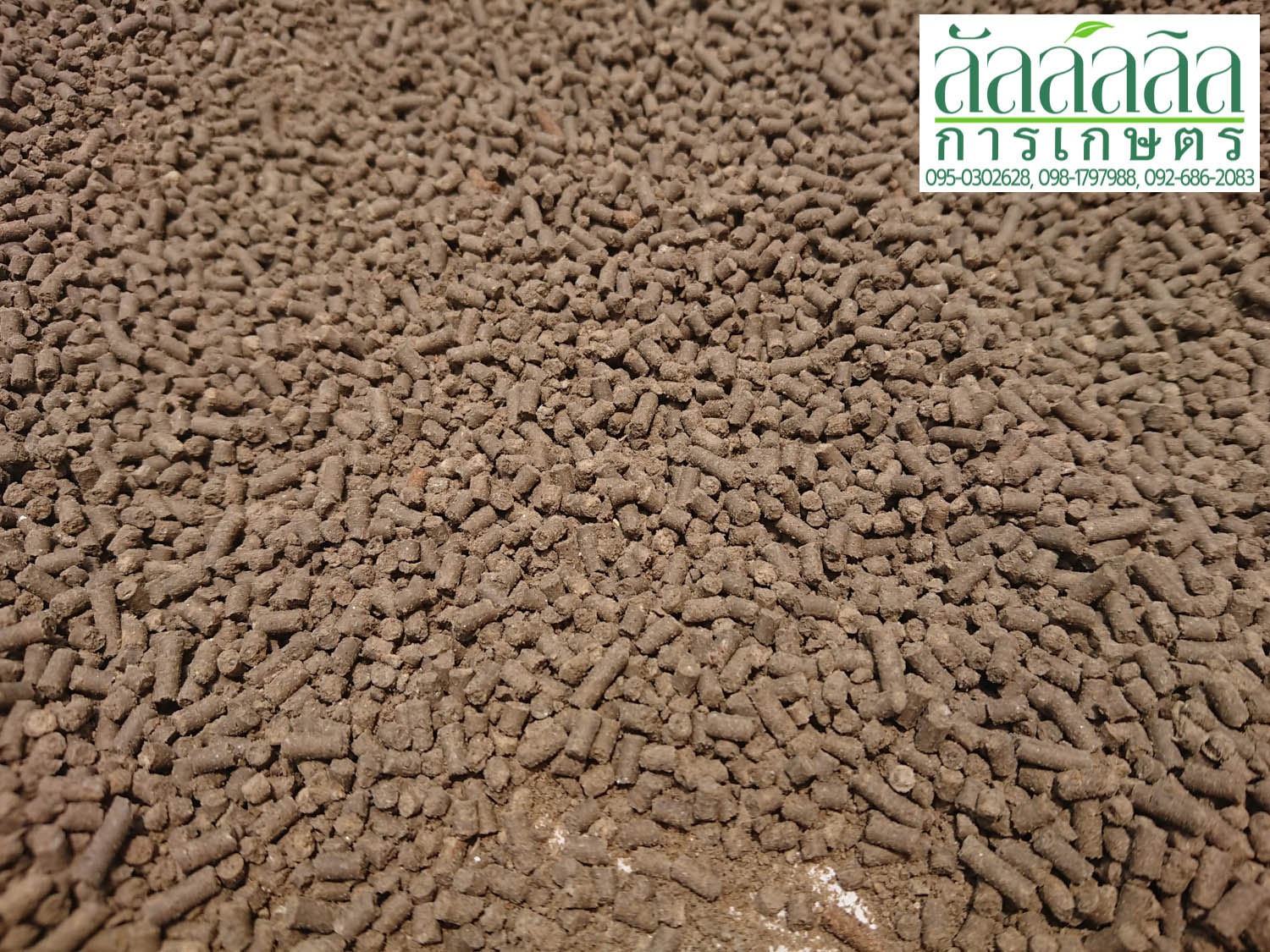 เครื่องอัดเม็ด รุ่น V.3