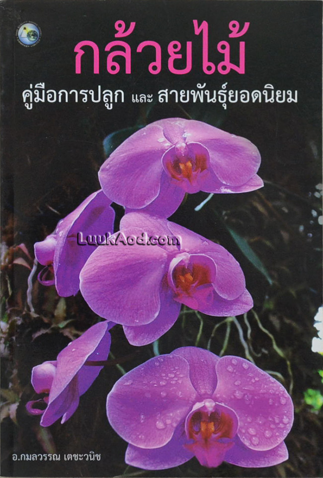 กล้วยไม้ คู่มือการปลูกและสายพันธุ์ยอดนิยม