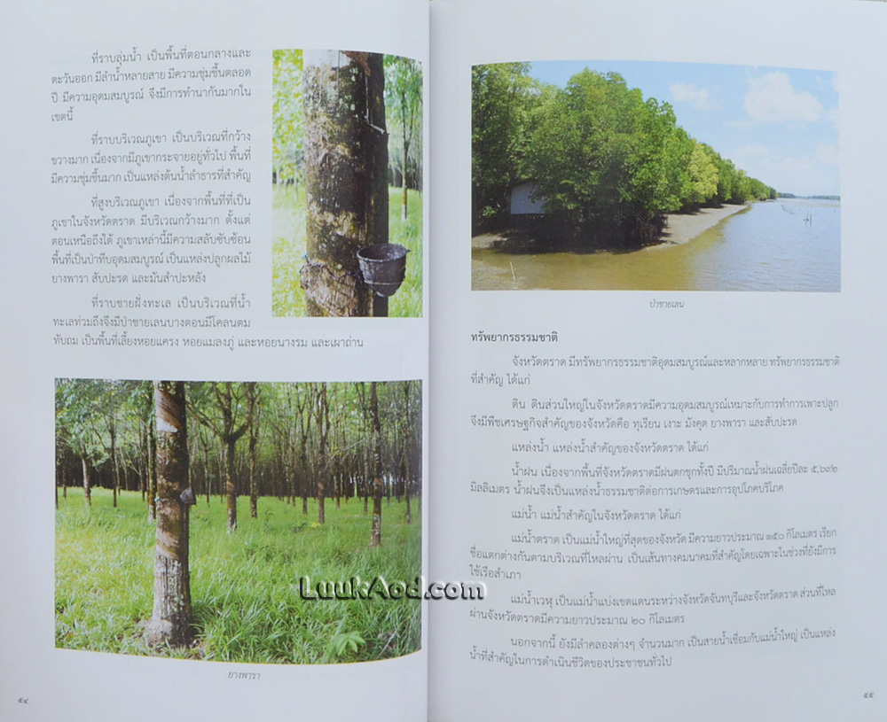 ปกิณกศิลปวัฒนธรรม เล่ม 19 จังหวัดตราด