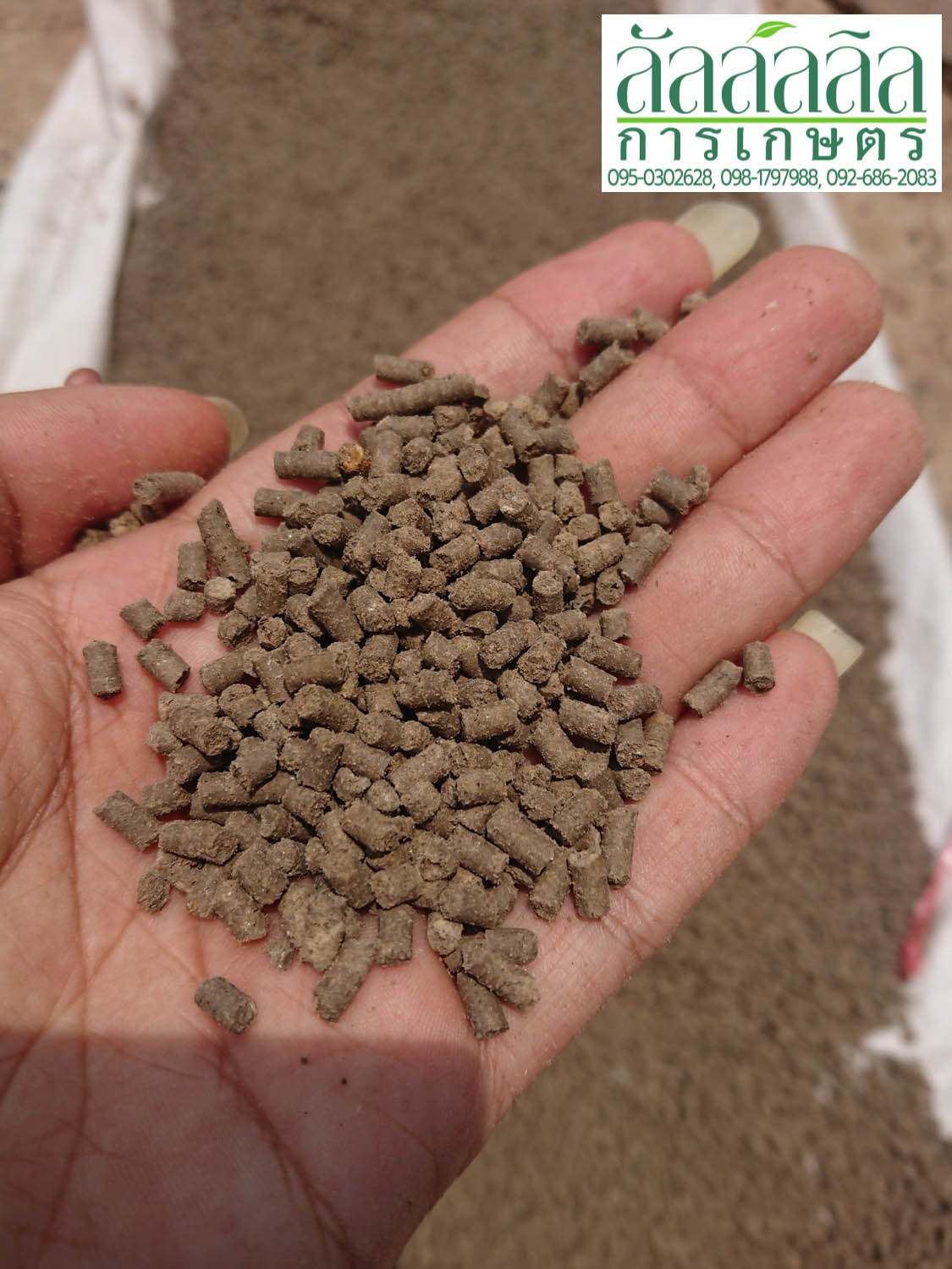 เครื่องอัดเม็ด V.4