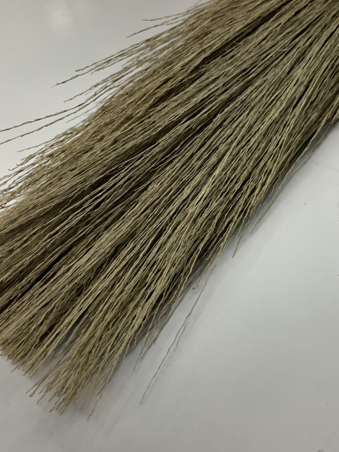 แปรงดอกหญ้ากำหวาย