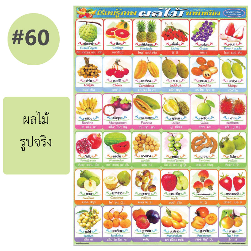 โปสเตอร์เพื่อการศึกษา ขายส่ง nongnini1988