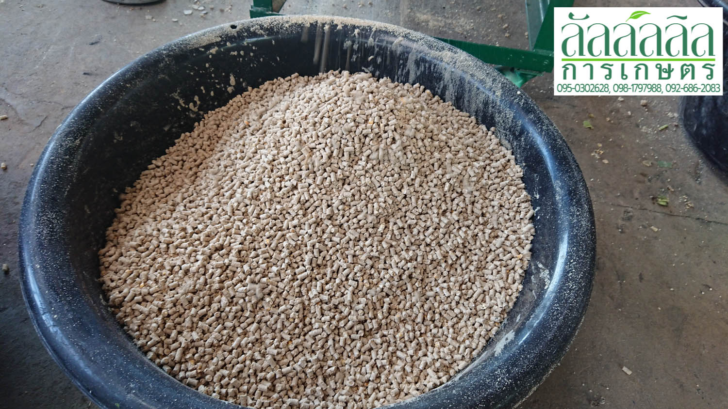 เครื่องอัดเม็ด V.4