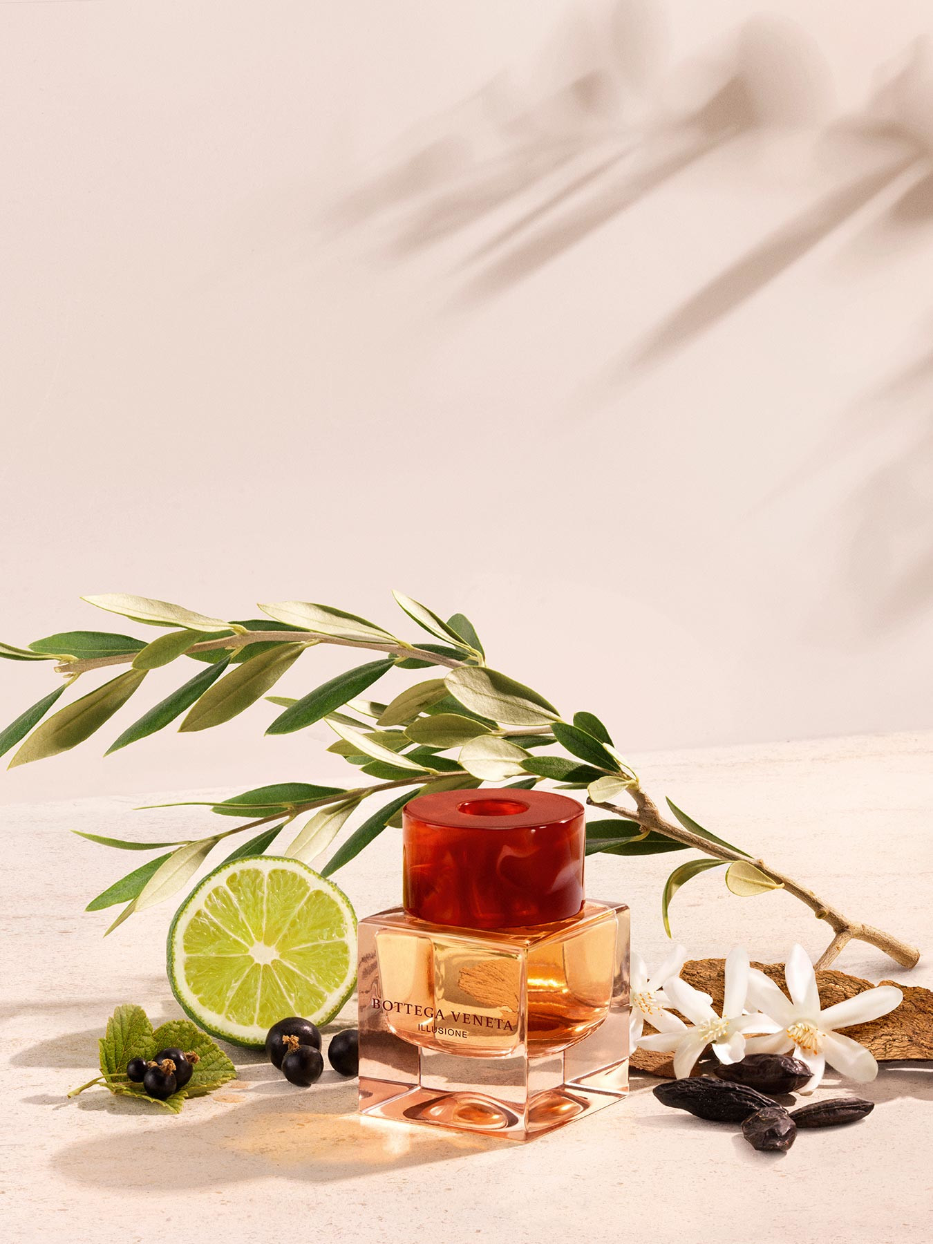 อิลลูชัน ฟอร์ เฮอร์ (Type)