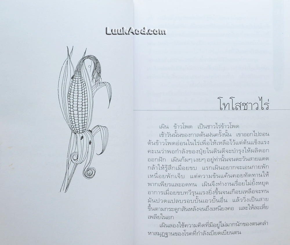 เสเพลบอยชาวไร่ / 'รงค์ วงษ์สวรรค์