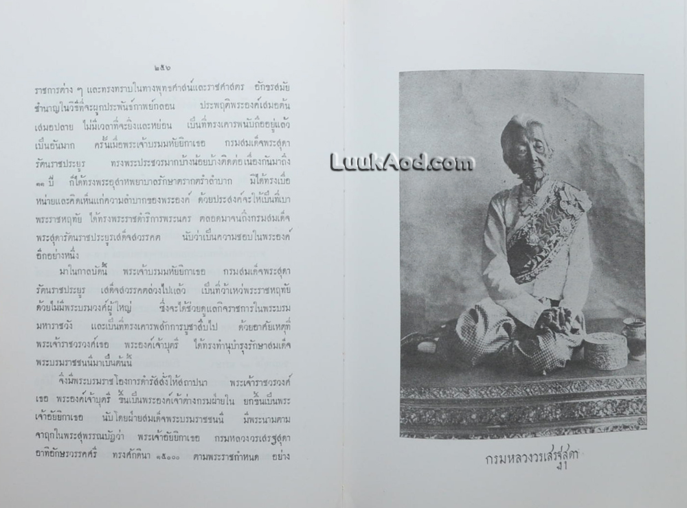 เรื่องเฉลิมพระยศเจ้านาย (2 เล่มจบ)