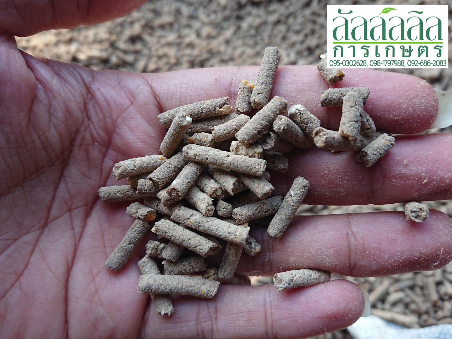 เครื่องอัดเม็ด รุ่น V.3