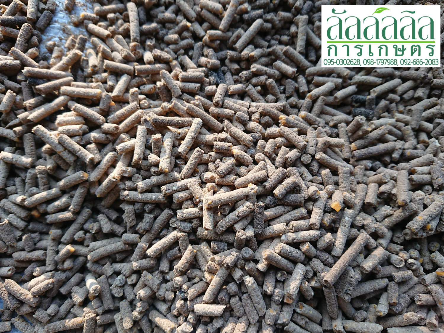 เครื่องอัดเม็ด รุ่น V.3