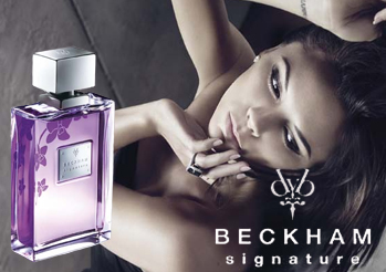 เบคแฮม ซิกเนเจอร์ ญ. (Type)