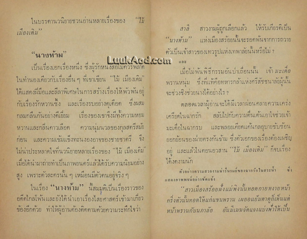 นางห้าม (เล่มเดียวจบ) / ไม้เมืองเดิม