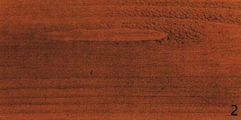 แชลค แกลลอน