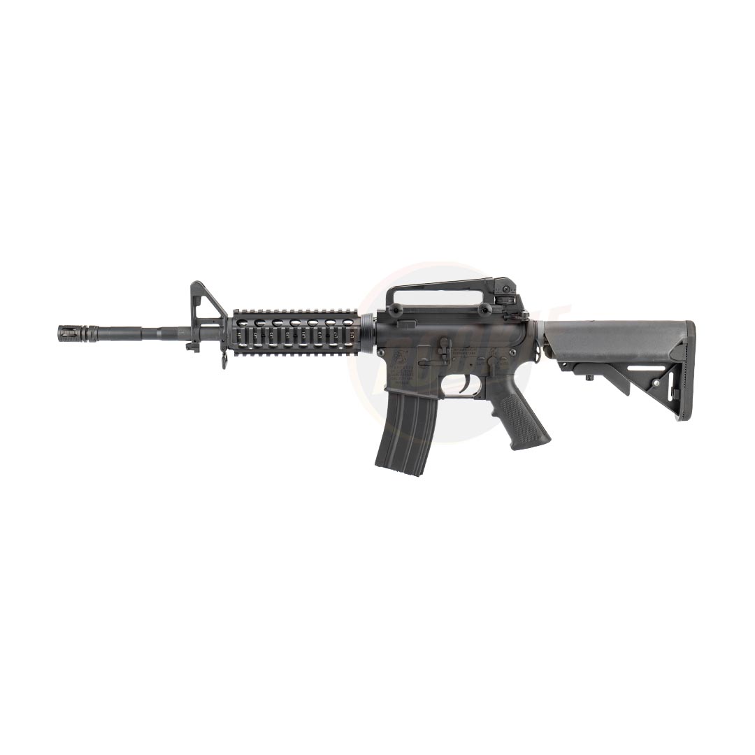 E&C 308 S2 M4 RIS AEG