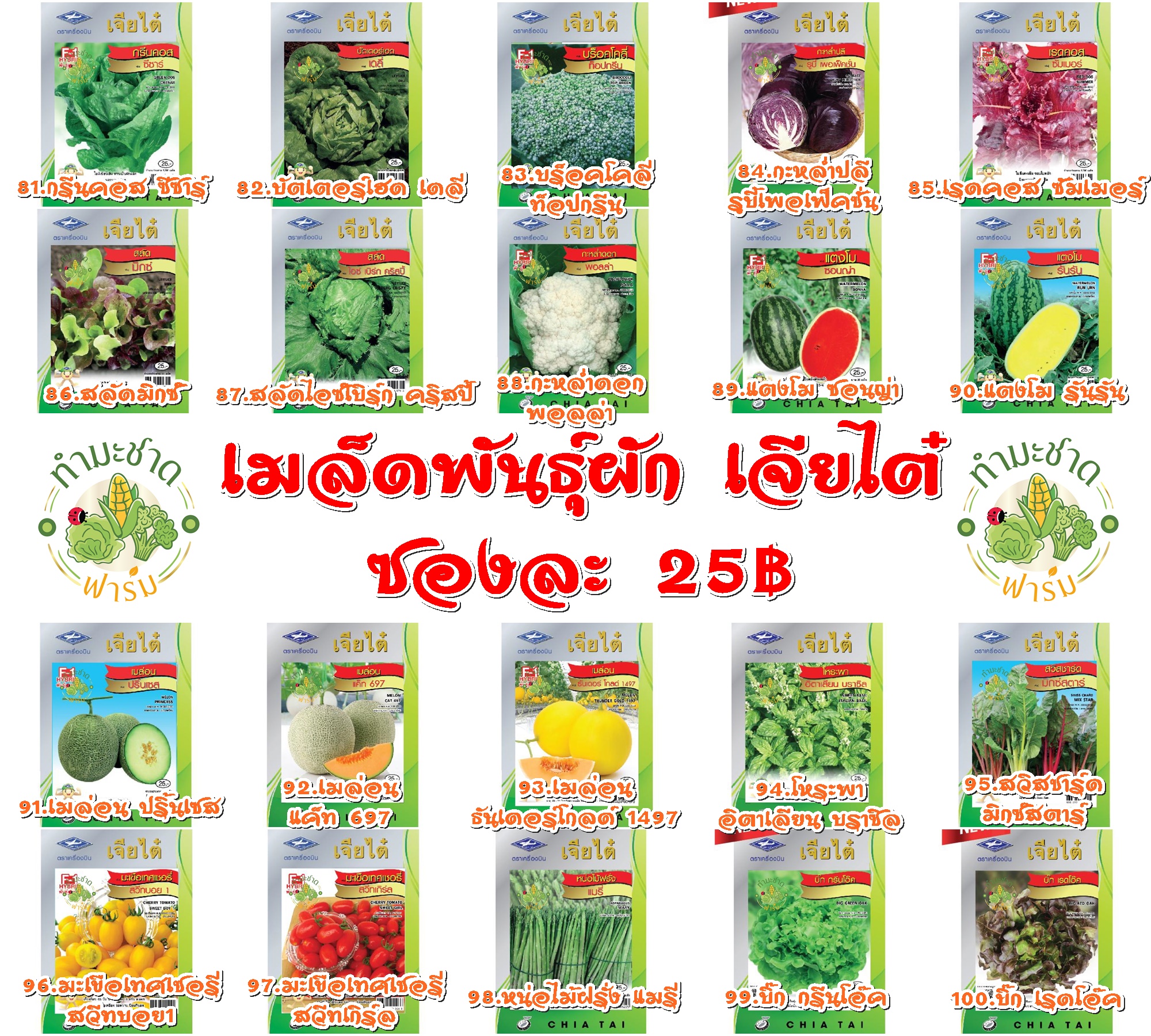 [เจียไต๋ 10แถม1 ] เมล็ดพันธุ์ผักสวนครัว เจียไต๋25฿