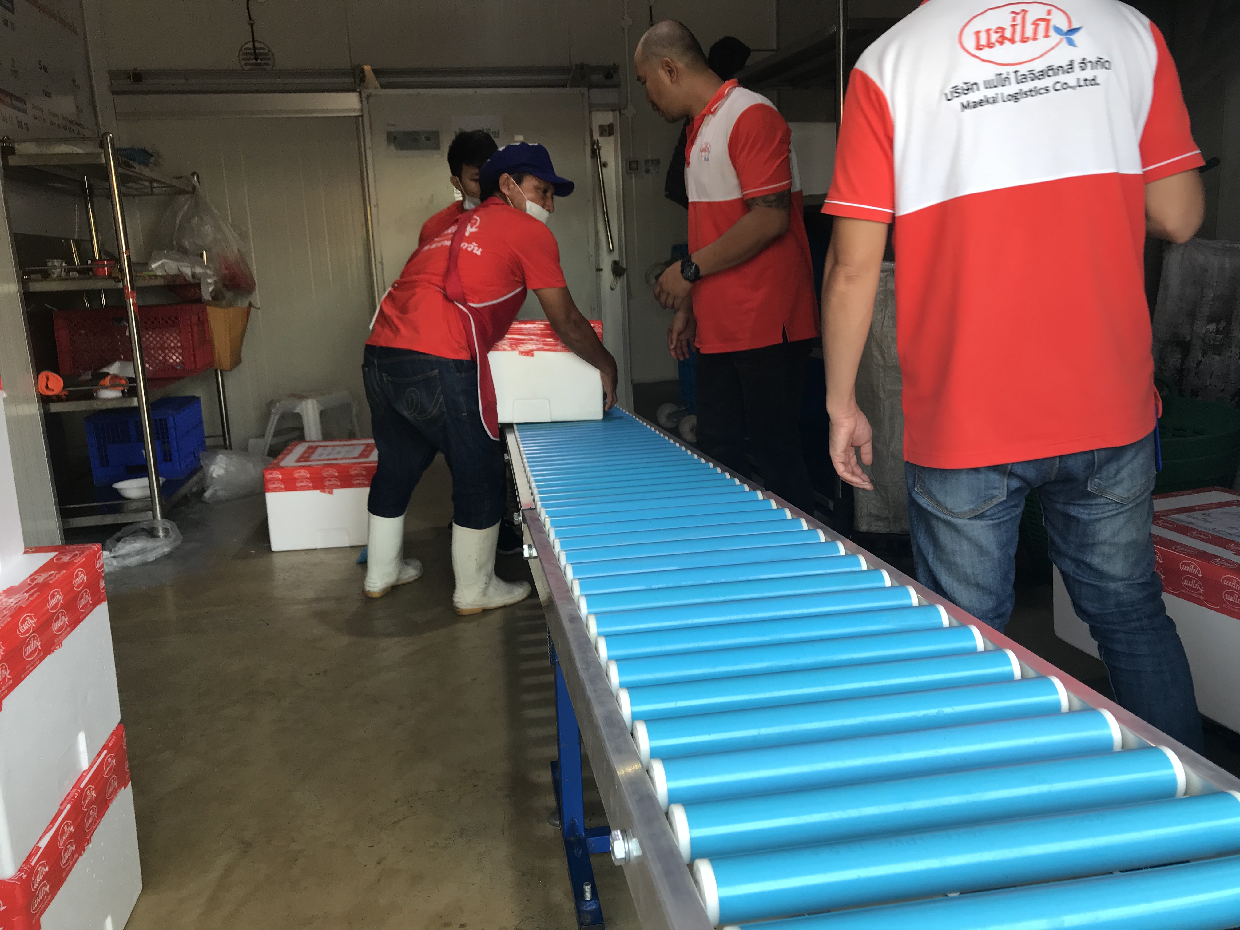 Zlide Container Roller รางลูกกลิ้ง อลูมิเนียม FE3030 W30 x L300 ( กว้าง 30 ซม , ยาว 3 ม. )