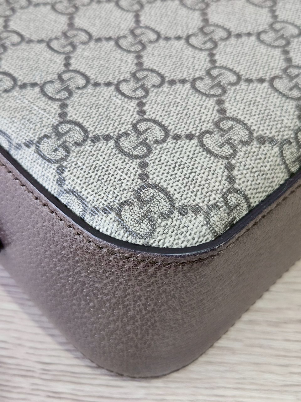 Gucci Neo Vintage Camera