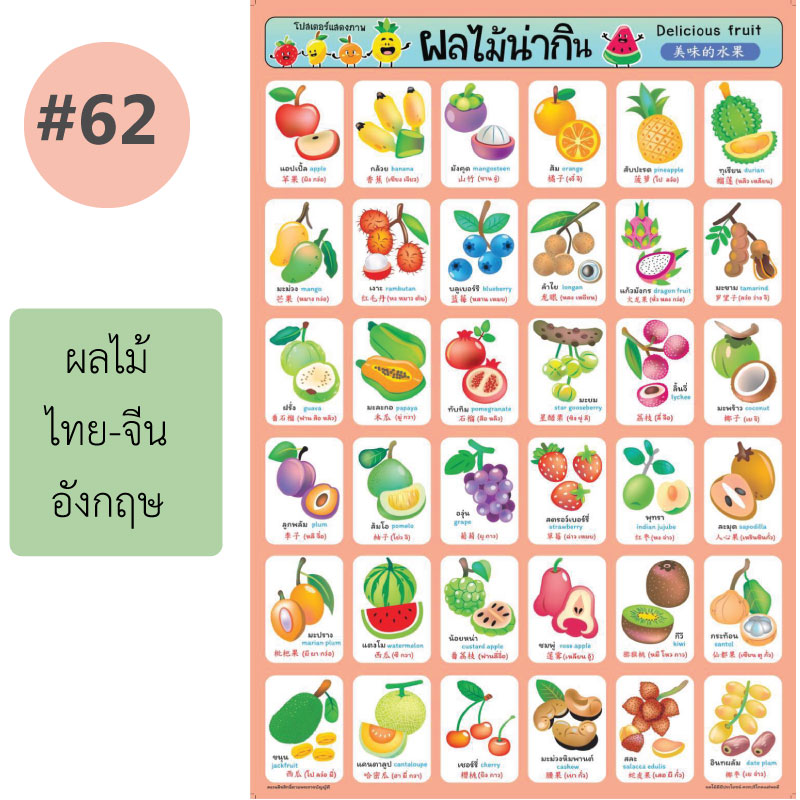 โปสเตอร์เพื่อการศึกษา ขายส่ง nongnini1988