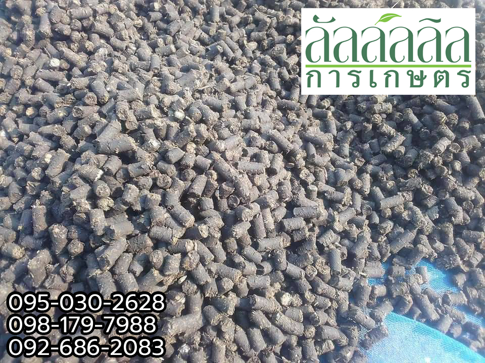 เครื่องอัดเม็ด V.2