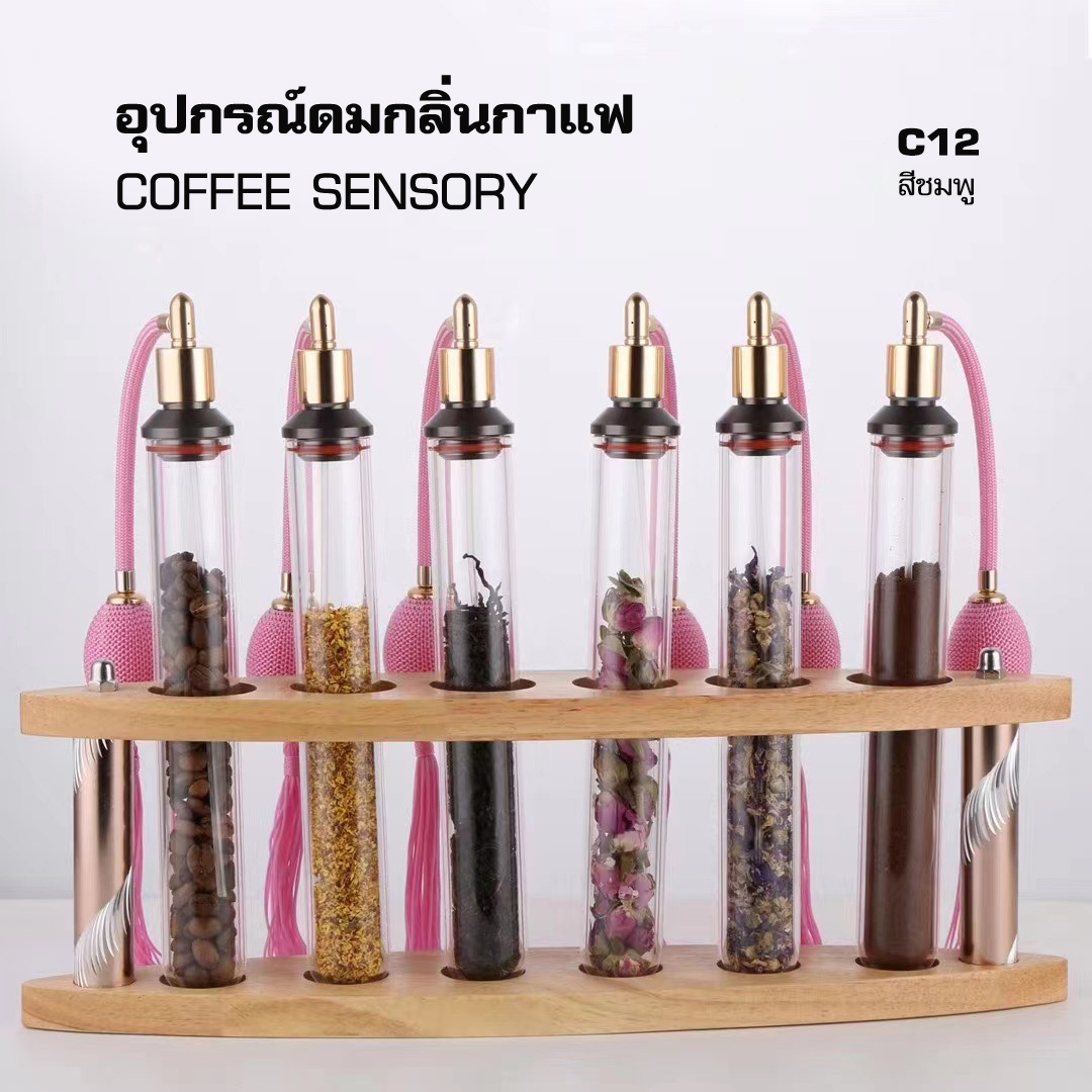 Coffee Aroma Tube – Essential Tool to Experience Coffee Scents Like a Pro