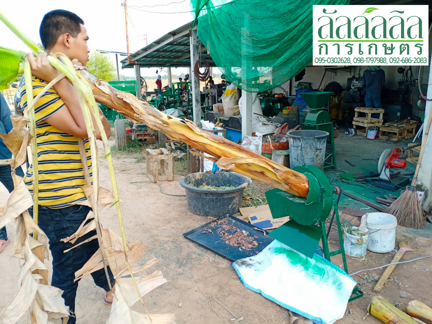 เครื่องสับต้นกล้วย หยวกกล้วย