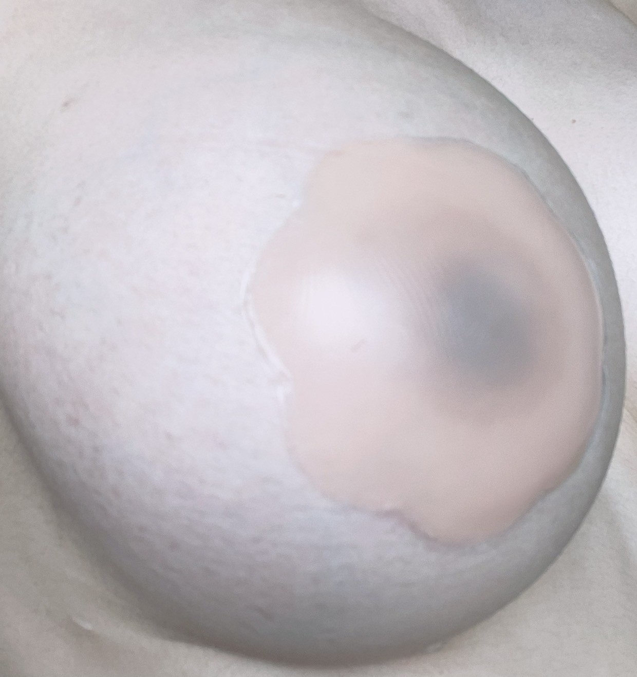 ซิลิโคนแปะจุก ที่ปิดหัวนม แปะหัวนม ปิดจุกนม เนื้อเจลทรงดอกไม้ขนาด 6.5cm และเนื้อด้านทรงวงกลมขนาด 8cm ซิลิโคนปิดจุก