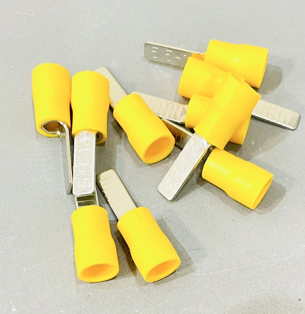 หางปลาตรงหุ้ม DBV