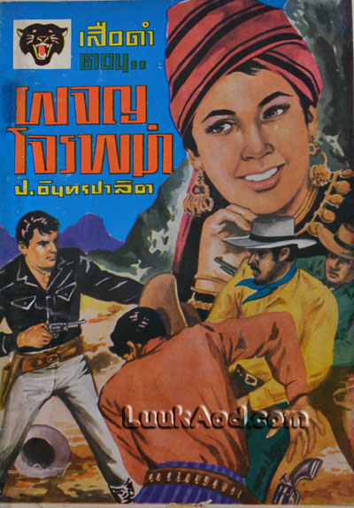 เสือดำ ตอนผจญโจรพม่า เล่มที่ 9 / ป.อินทรปาลิต