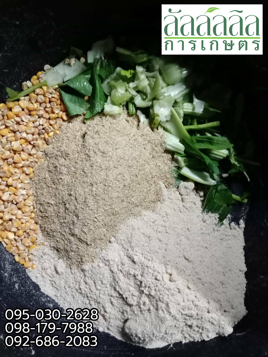 เครื่องอัดเม็ด รุ่น V.3