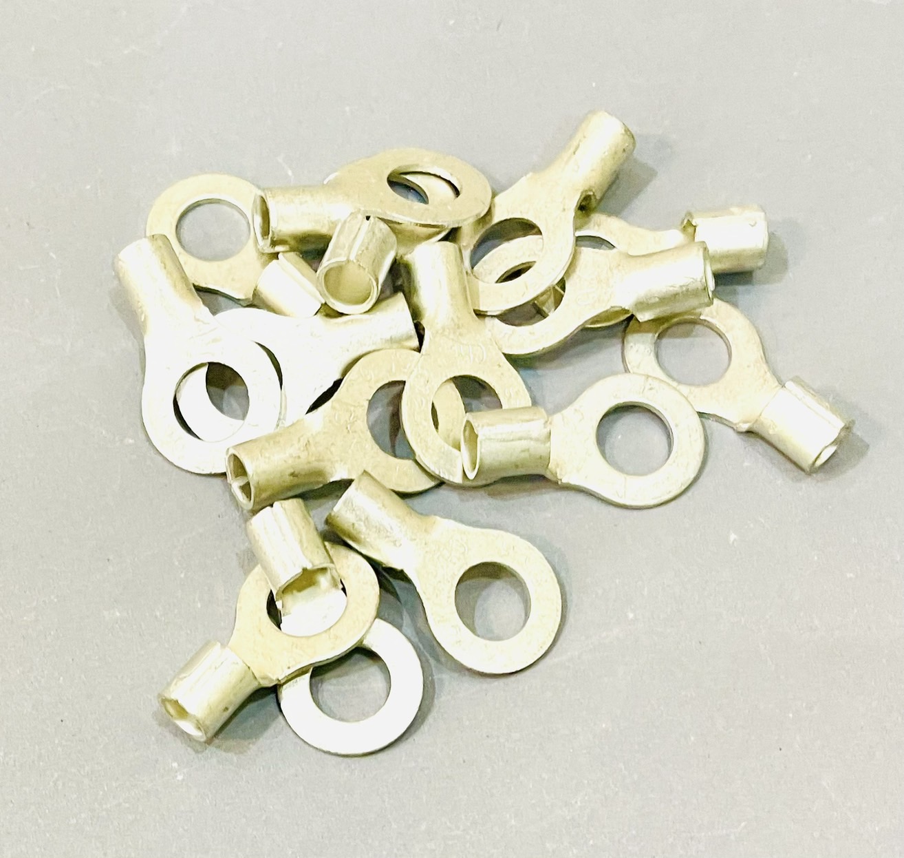 หางปลากลมเปลือย