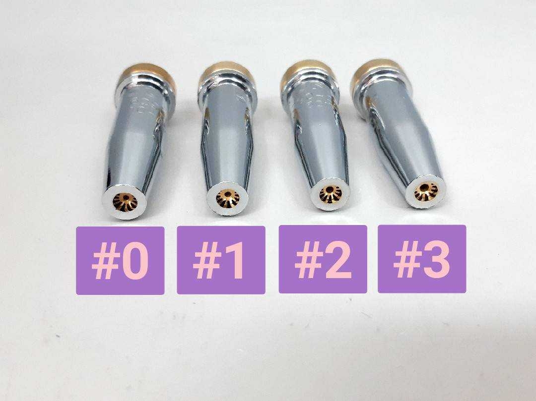 นมหนูหัวตัดแก็ส ซูโม่/นกอินทรี