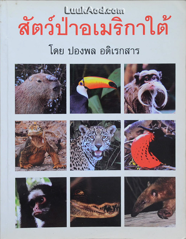 สัตว์ป่าอเมริกาใต้