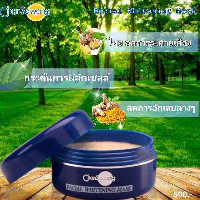 ผงเร่งมาร์คหน้า (Whitening Facial Clay Mask)