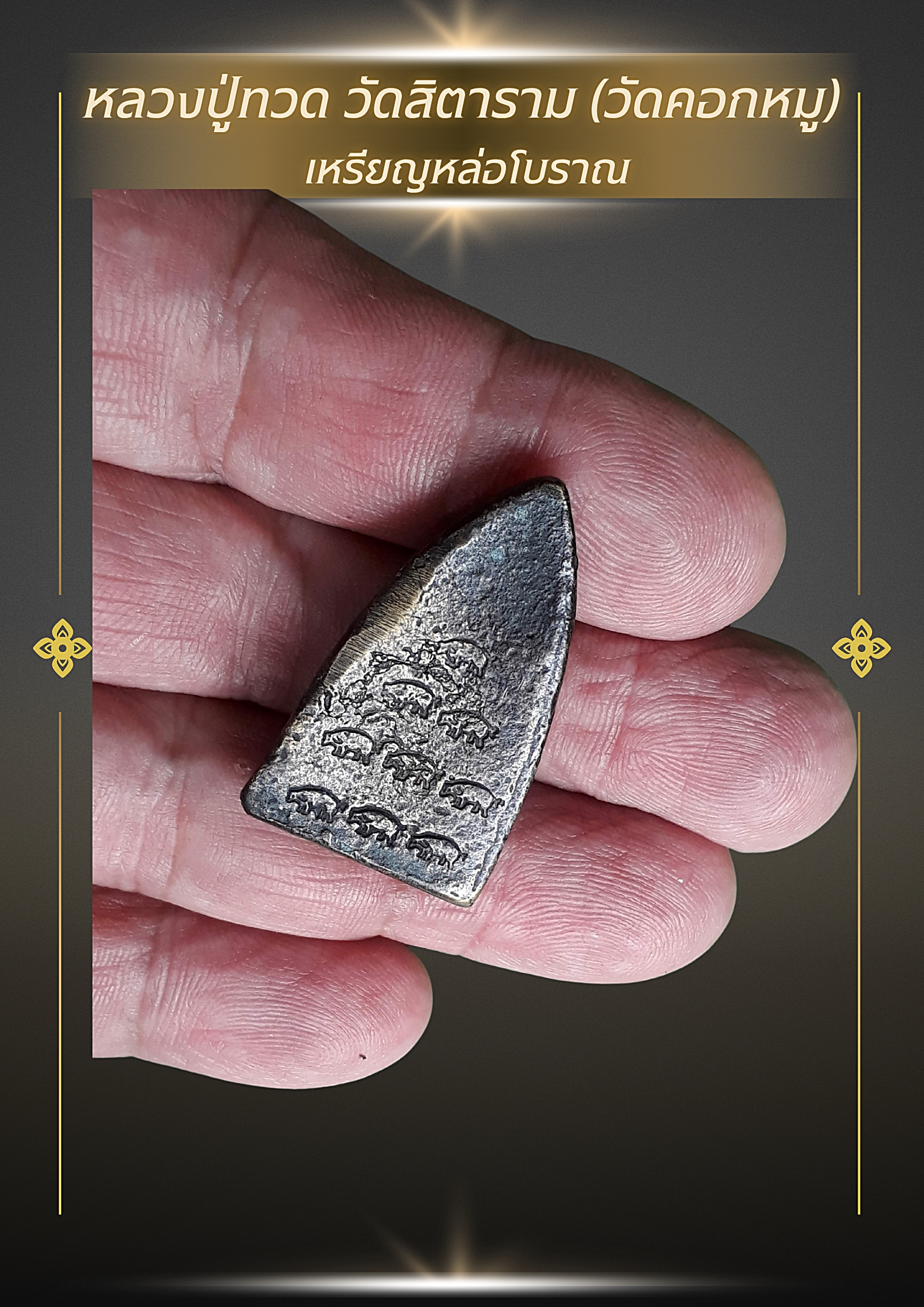 ✨ หลวงปู่ทวด วัดสิตาราม (วัดคอกหมู)พร้อม “โค้ตรูปหมู” ด้านหลังครบ 9 ตัว