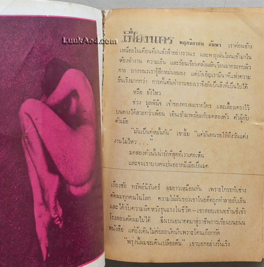พฤศจิกายน อัมพา / 'รงค์ วงษ์สวรรค์ กับ เพื่อนหนุ่ม